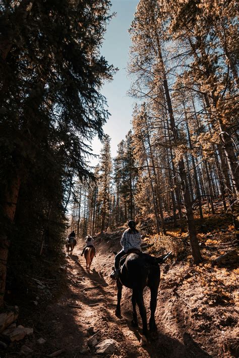 Unleashing Your Inner Cowboy: Exploring the Wild West on Horseback