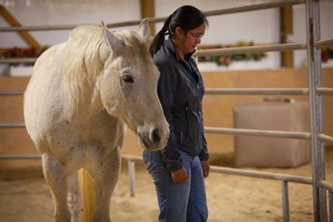 Unleashing the Healing Power of Equine Therapy