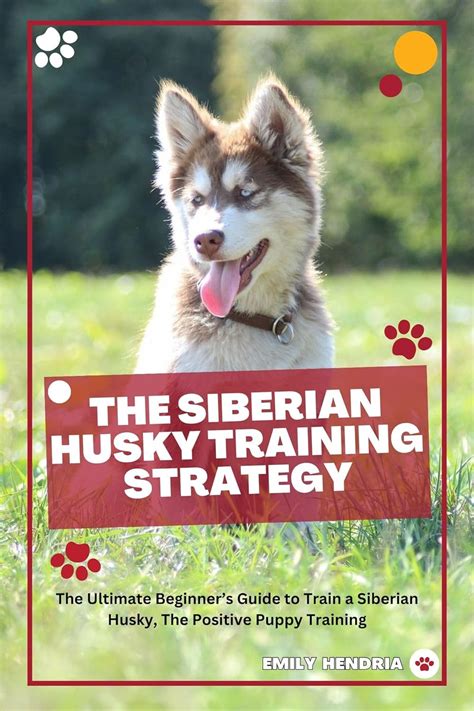 Unleashing the Independent Spirit: Strategies for Training Albino Sibirian Huskies 