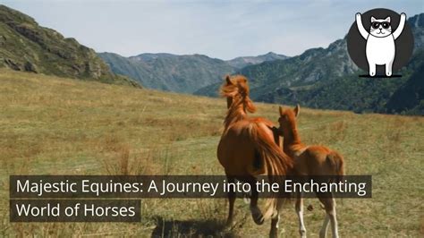 Unleashing the Power of Creativity: Unraveling the Enchanting Journey of Ebony Equines