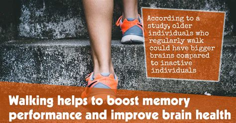 Unleashing the Power of an Adventurous Mind: How Strolling Enhances Mental Well-being