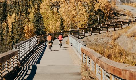 Unleashing the Thrill: The Allure of Nighttime Biking Adventures