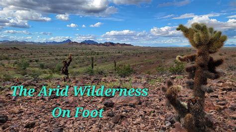 Unlocking Enigmas: Exploring Inner Reflection in the Arid Wilderness