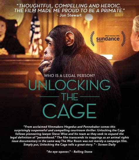 Unlocking the Cage: The Pursuit of Freedom