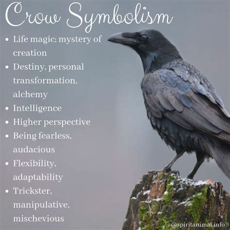 Unlocking the Deeper Significance: Practical Tips for Embracing the Symbolic Message of the Colossal Crow