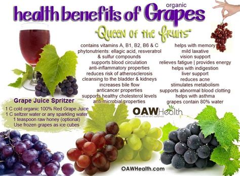 Unlocking the Health Benefits of Grape Bliss: A Robust Source of Antioxidants