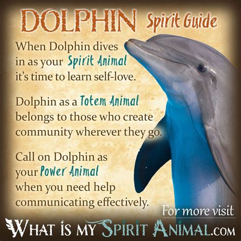 Unlocking the Hidden Meanings: Unlocking the Symbolic Significance of Experiencing the Arrival of a Dolphin in One's Dreams