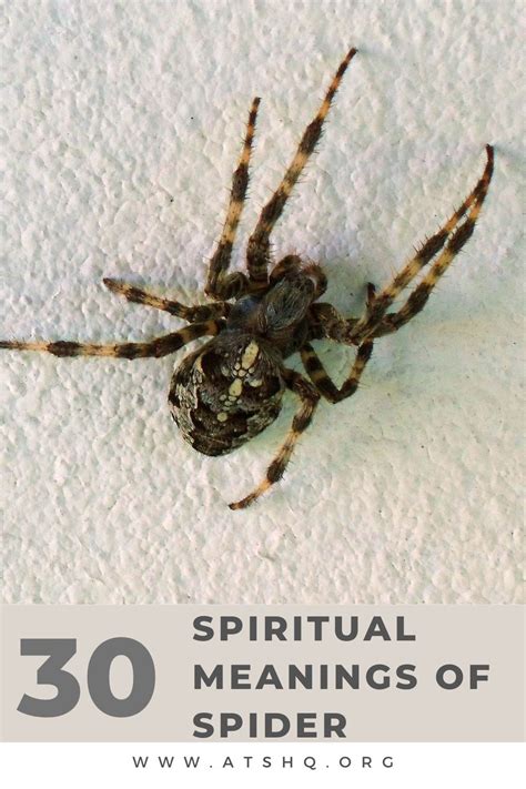 Unlocking the Meaning: Deciphering the Significance of a Brown Spider's Demise