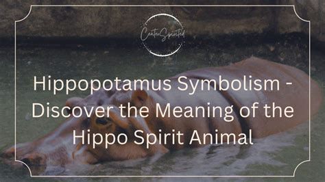 Unlocking the Meaning: Understanding the Symbolism of a Ivory Hippopotamus Vision