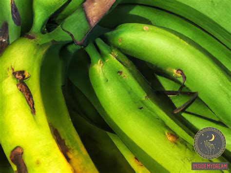 Unlocking the Meaning Hidden within Plantain Trees