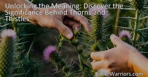 Unlocking the Meaning of a Thorny Path: Exploring the Symbolic Significance