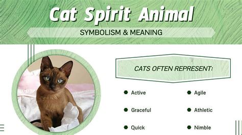 Unlocking the Mysteries: Cats as Spiritual Guides in the Dream Realm