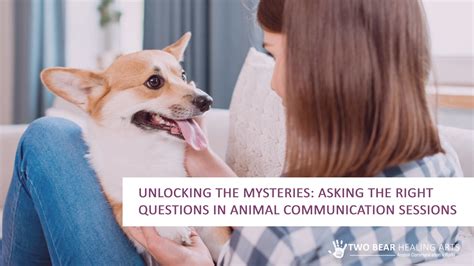 Unlocking the Mysteries of Animal Communication: A Journey of Mutual Understanding