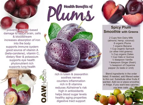 Unlocking the Nutritional Benefits of Plum: A Guilty Pleasure with a Health Twist