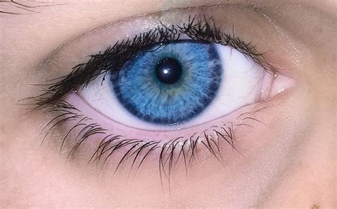 Unlocking the Symbolism: Deciphering the Meaning Behind Stunning Electric Blue Eyes