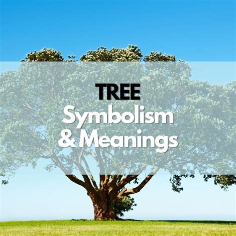 Unlocking the Symbolism: What Trees Represent in Dreams