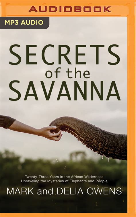 Unravel the Mystery of Savanna Lee's Years on This Earth