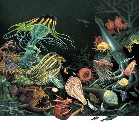 Unraveling the Depths: Decoding the Mysterious Ocean in Dreams