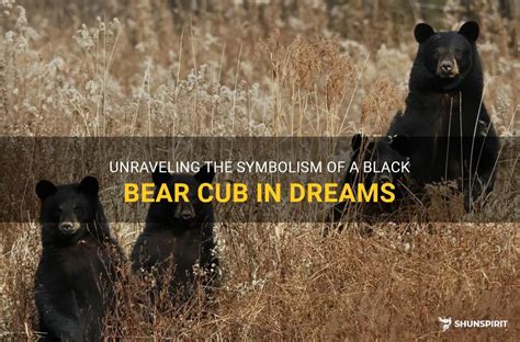 Unraveling the Enigma of Bear Symbolism