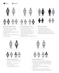 Unraveling the Genetic Factors: Decoding the Influence