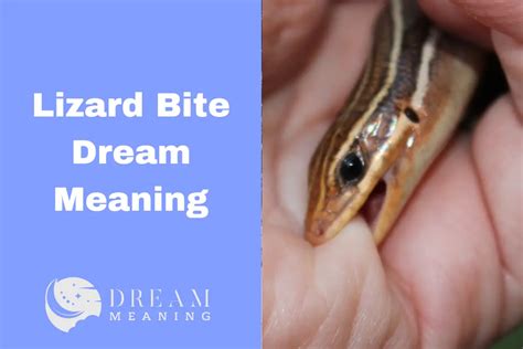 Unraveling the Hidden Messages: Deciphering the Symbolism of a Lizard Bite in Dreams