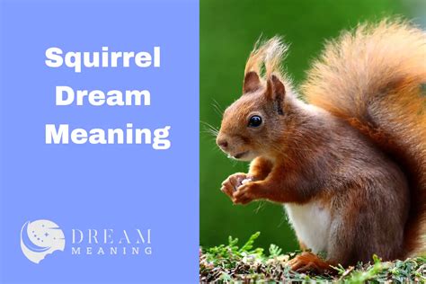 Unraveling the Hidden Significance Behind Squirrel Bite Dreams