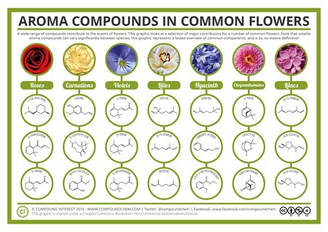 Unraveling the Intricate Chemistry of Fragrant Aromas