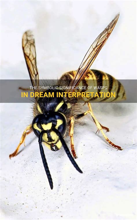 Unraveling the Intricate Symbolism of Wasp Dreams