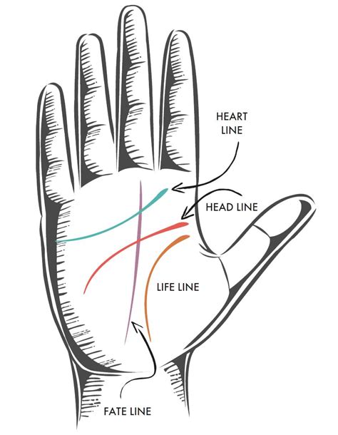 Unraveling the Key Significance: Life Line, Head Line, and Heart Line