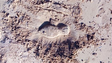 Unraveling the Meaning Behind Soiled Footprints