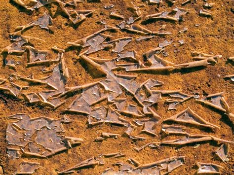 Unraveling the Mysterious Origins of Peeling Surfaces