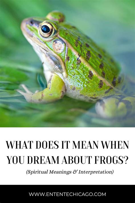 Unraveling the Possible Connotations and Messages in Frog Treading Dreams