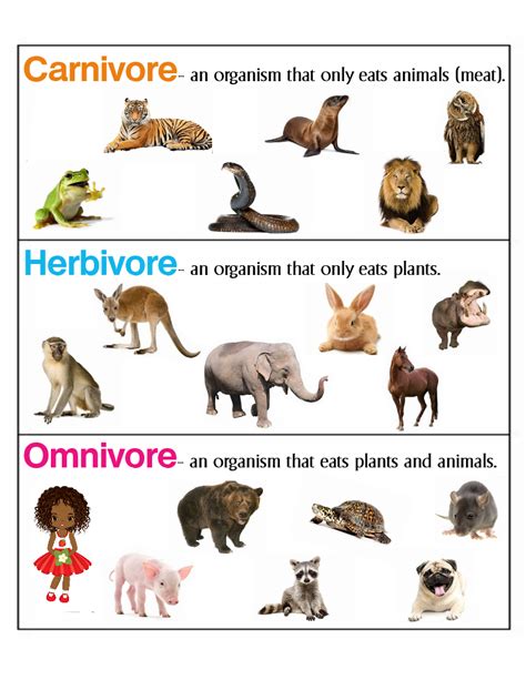 Unraveling the Science: Can an Herbivore Indulge in their Carnivorous Cravings?