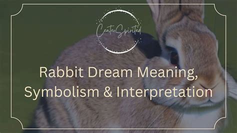 Unraveling the Significance: Exploring the Various Meanings behind a Rabbit's Urination in Dreams