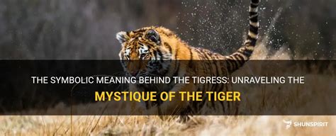 Unraveling the Significance and Symbolic Meaning of a Majestic Tiger Encounter