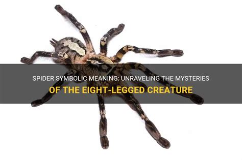 Unraveling the Significance behind a Harrowing Tarantula Onslaught: Exploring the Symbolic Meanings