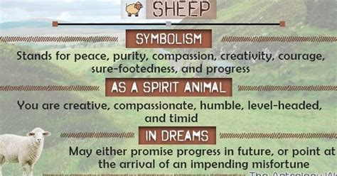 Unraveling the Significance of Sheep in Dreams