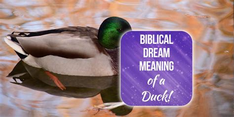 Unraveling the Significance of Waterfowl Imagery in your Dreams