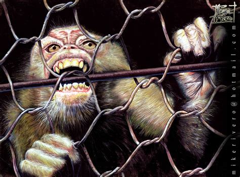 Unraveling the Subliminal Messages of Ape Enclosure Fantasies