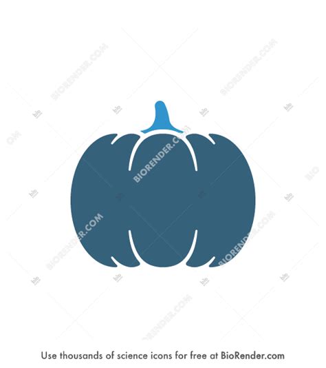 Unraveling the Symbolic Depth: Pumpkin as a Representation of Emotional Nourishment