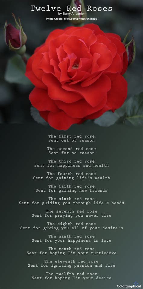 Unraveling the Symbolic Significance of Vibrant Red Roses