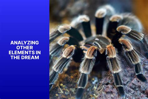 Unraveling the Symbolic Significance of a Monochrome Tarantula in Dreams