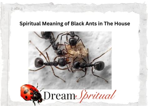 Unraveling the Symbolism of Chestnut-Colored Ants in Dreams