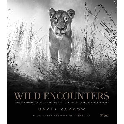 Untamed Encounters: Tales from the Wilderness