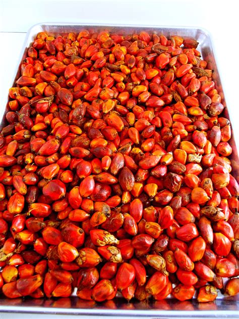 Untangling the Symbolism: Decoding the Meaning of Indulging in Palm Kernel