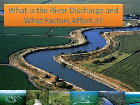 Unusual Factors That Influence the Appearance of Verdant Discharge in Reveries