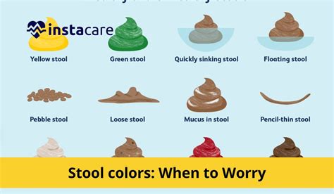 Unusual Stool Colors: What Do They Indicate?