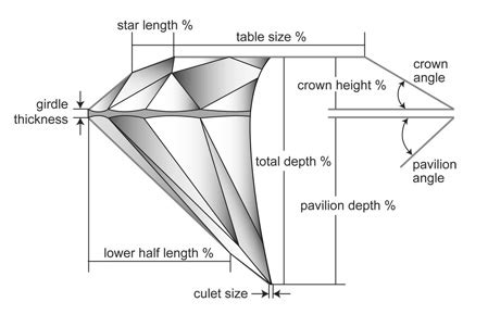 Unveiling Black Diamond's Height and Figure