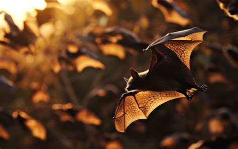 Unveiling Hidden Messages: Exploring the Symbolism of Baby Bat Dreams