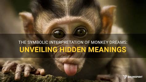 Unveiling Hidden Messages in Monkey Dreaming: Insights into Personal Relationships